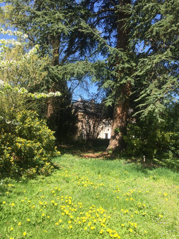La Maison Des Gardes - Chambres D'Hotes Cluny Buitenkant foto